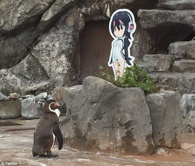 grape_kun